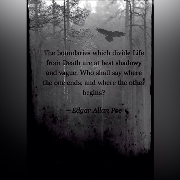 $3 GOTHIC NAIL STICKER SHEET. NEW. $3 WITH ANY $10 ORDER OR MORE - Picture 15 of 16